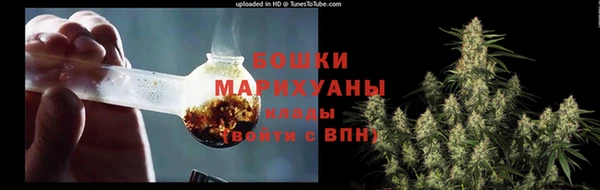 PSILOCYBIN Медвежьегорск