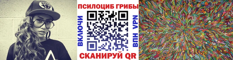 Купить  Усмань  Псилоцибиновые грибы ЛСД 